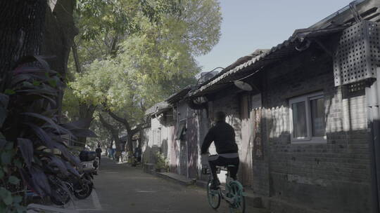 北京秋天街道 秋天胡同