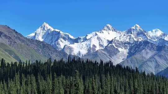 新疆昭苏夏塔雪山