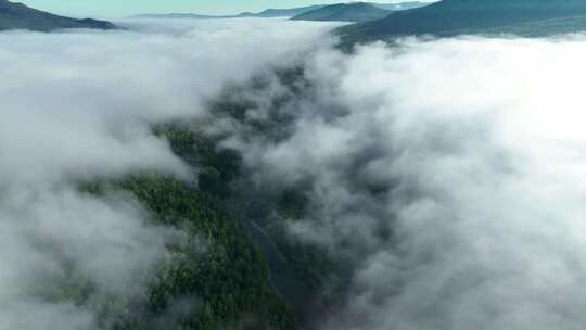 森林云海平流雾天然氧吧浓雾山峰山脉合集