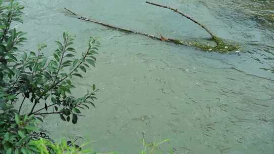 河水河流河面流水