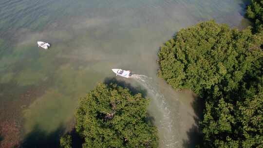 空中鸟瞰追踪快艇穿过森林河流驶向开阔的海洋