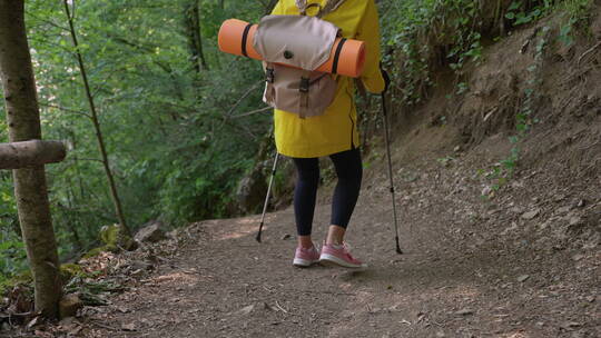 女游客背着背包在森林里旅行