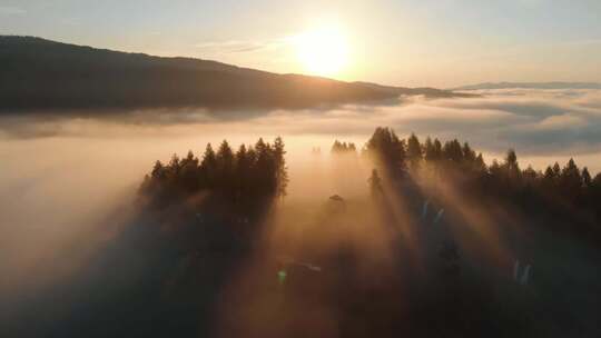 清晨的曙光照耀在森林上空的云上视频素材模板下载