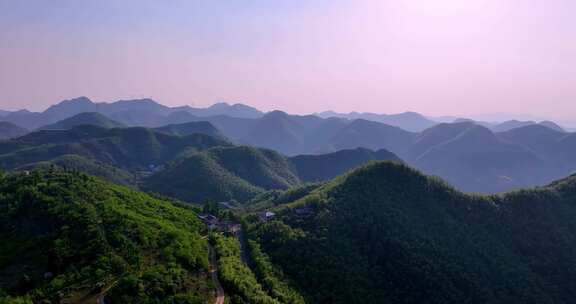 航拍浙江山区竹山竹林竹海大气治愈