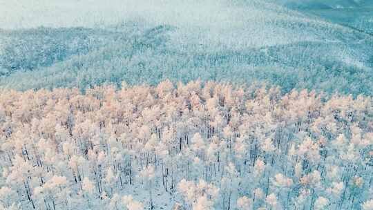 航拍冬季森林 【合集】