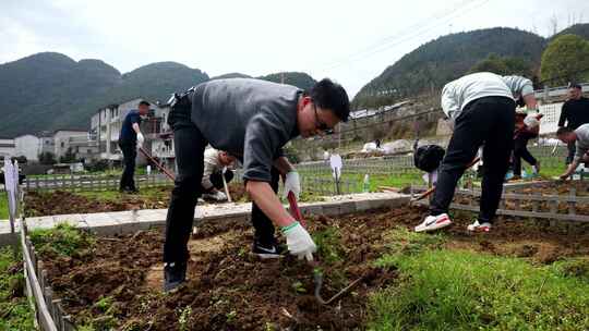 劳动空镜刨土锄地农场工人耕作劳作翻土