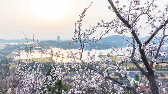 北京雁栖湖春季风光延时视频视频素材模板下载