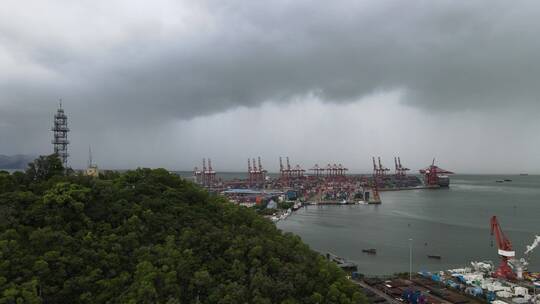 赤湾 赤湾港 深圳赤湾集装箱码头