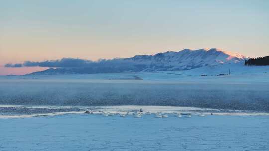 新疆博州赛里木湖冬季日落天鹅雪山航拍风景视频素材模板下载