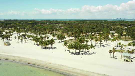 热带海滩沙滩迈阿密天线