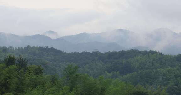 绿色山林森林竹海云海云雾安徽山区远景特写