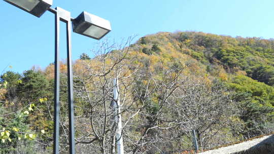 秦岭山水风景 秦岭 秋季 秦岭山脉