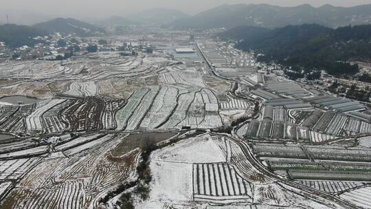 航拍 南方 农田 冬天 雪景视频素材模板下载