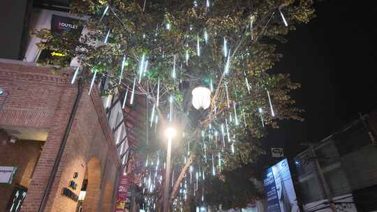 挂满装饰灯的街边树木夜景