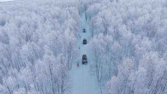 4K呼伦贝尔雪原雾凇车队行驶航拍