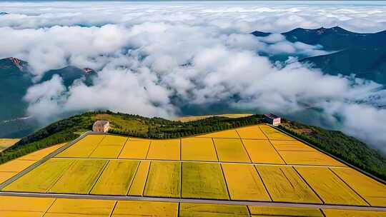 中国人民银行稻田艺术字