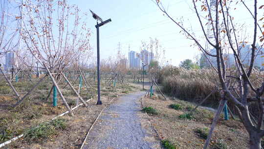 武汉东西湖黄塘湖公园风景