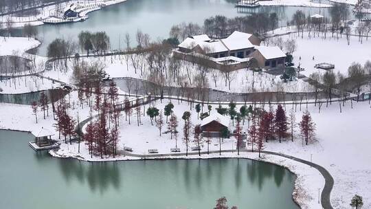 航拍湿地公园雪景树林湖岛木屋杉树木