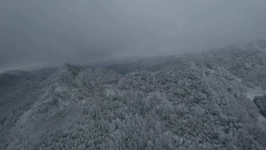 fpv穿越机航拍森林雾凇雪景溪流自然树林