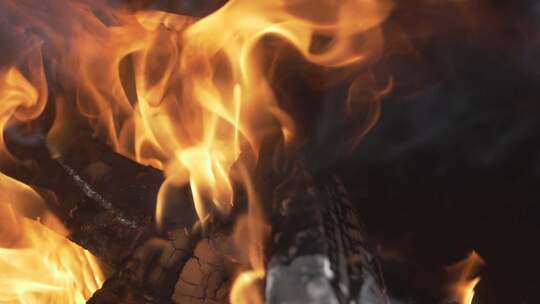 篝火炭火木头燃烧火焰视频素材模板下载