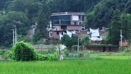 农村乡下人家农村房子农业农村视频素材模板下载