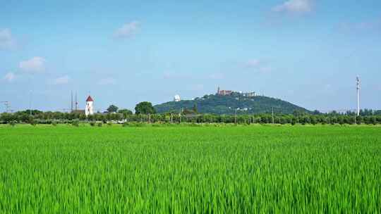 远山田园风光