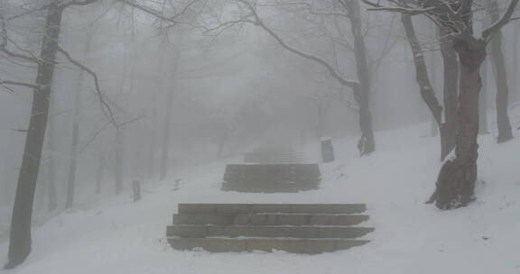 山东泰山风景区雪景下雪