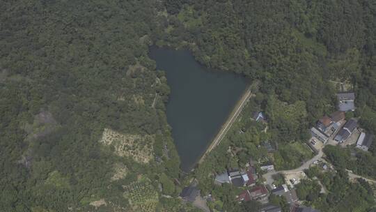 绿水青山