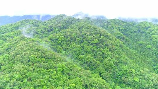 被森林覆盖的群山茂密绿色植被大山03视频素材模板下载