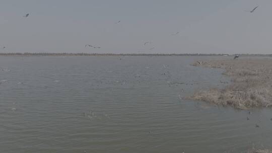 美丽中国-生态湿地