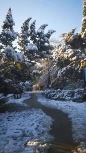 实拍冬天雪景