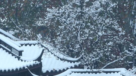 杭州西湖风景区雪景视频素材模板下载