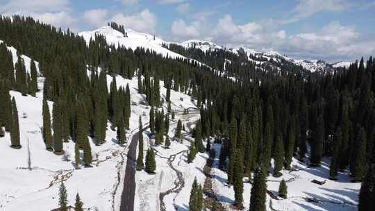 新疆伊犁库尔德宁大气壮观雪山丛林景色