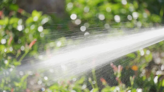 灌溉喷洒水慢镜头