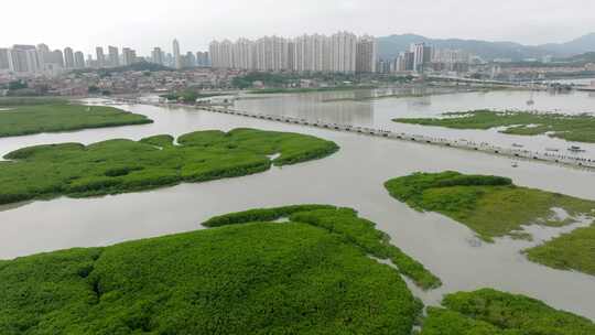 福建泉州洛阳桥万安桥泉州洛江区航拍