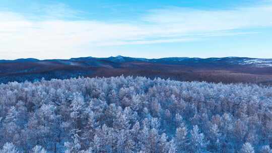 林海雪原 唯美高山雾凇