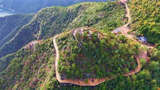 三峡红叶