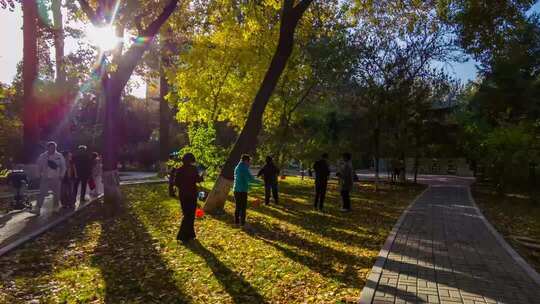 公园秋日人们休闲活动场景