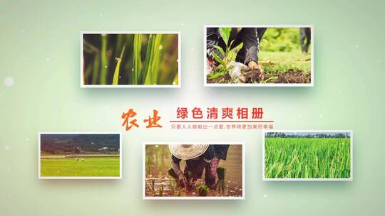 绿色照片展示农业