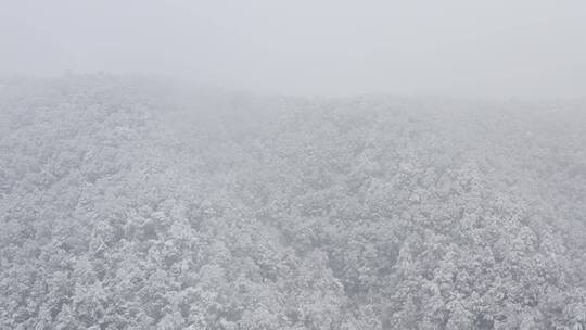 杭州灵隐雪下雪航拍