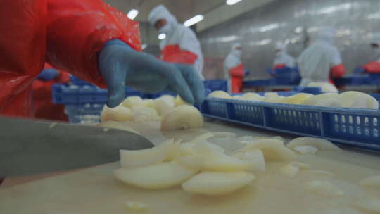 海参加工生产线工人在流水线上处理海鲜制品