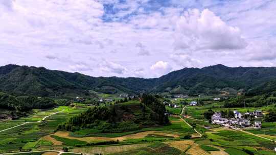 航拍武夷山绿色农田与茶园延时