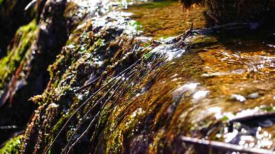 沕沕水 沕沕水景区 沕沕水五龙潭