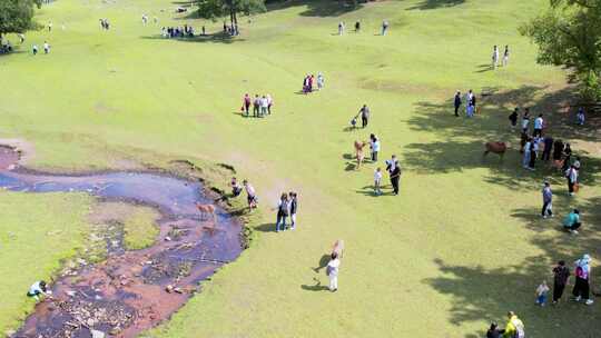 黑龙江伊春飞鹤金山鹿苑风景航拍