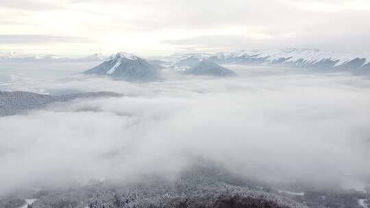 航拍高原雪山森林 云雾 自然风景