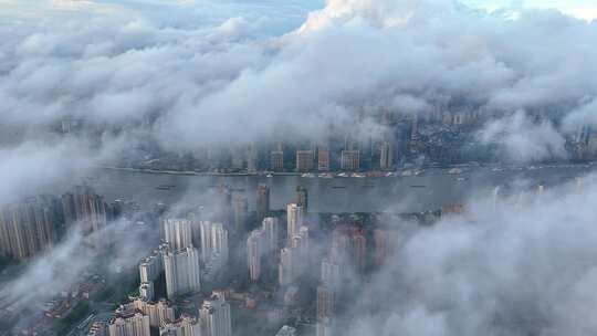 上海平流雾  云雾中的上海城市风景