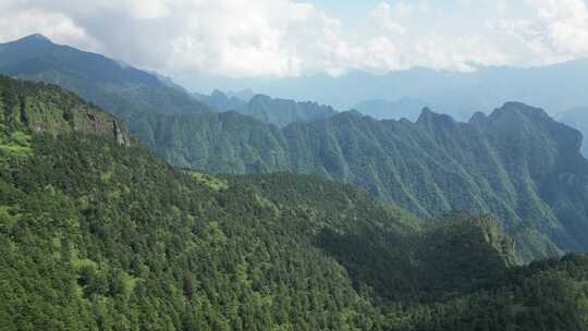 航拍大自然高山森林