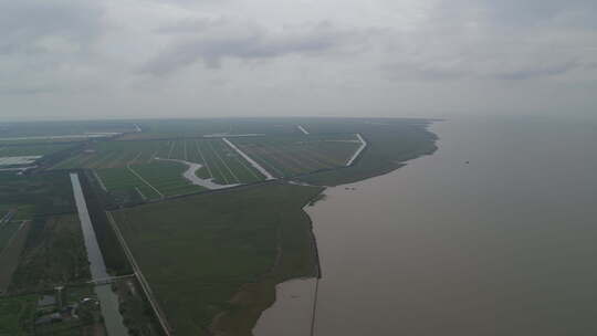 上海崇明岛航拍草地平原天际线湖水视频素材模板下载