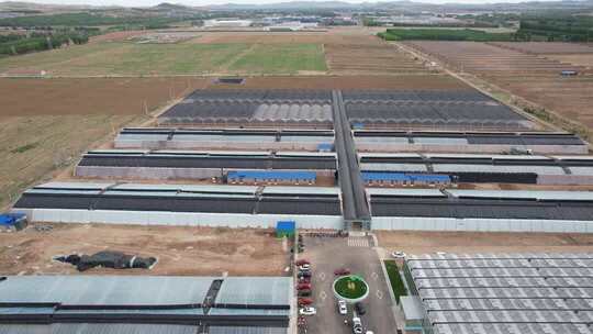 航拍农业大棚全景