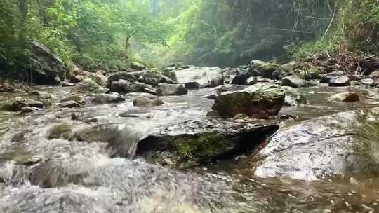 大森林里的小溪流水